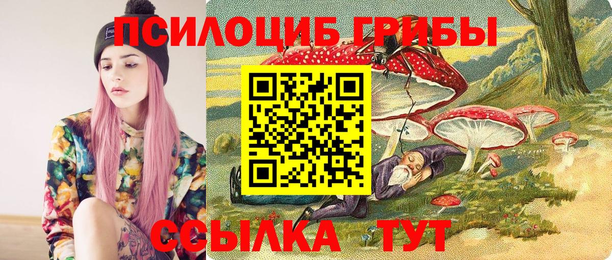 Псилоцибиновые грибы Cubensis Алапаевск