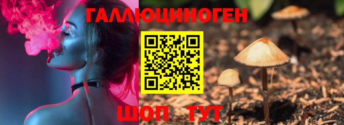 Галлюциногенные грибы мицелий  Вход с VPN  Алапаевск 